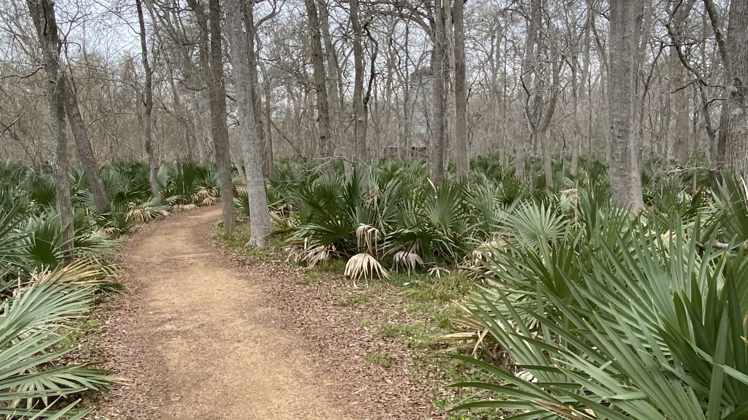 Palmetto State Park